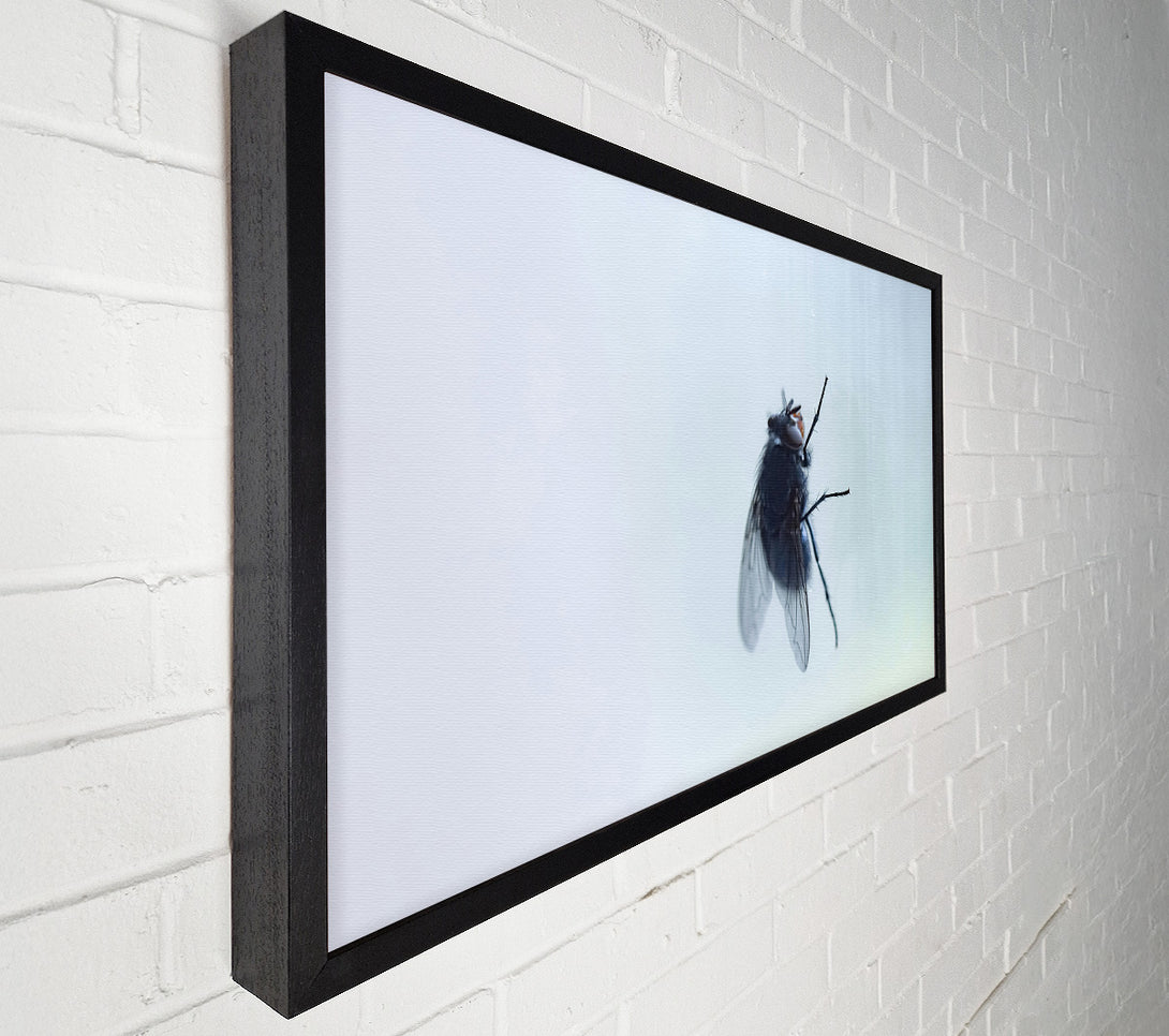  A Canvas Print of Blue Fly On Glass Canvas Wall Art