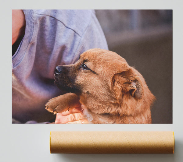 Golden Furred Hope Giclee Print
