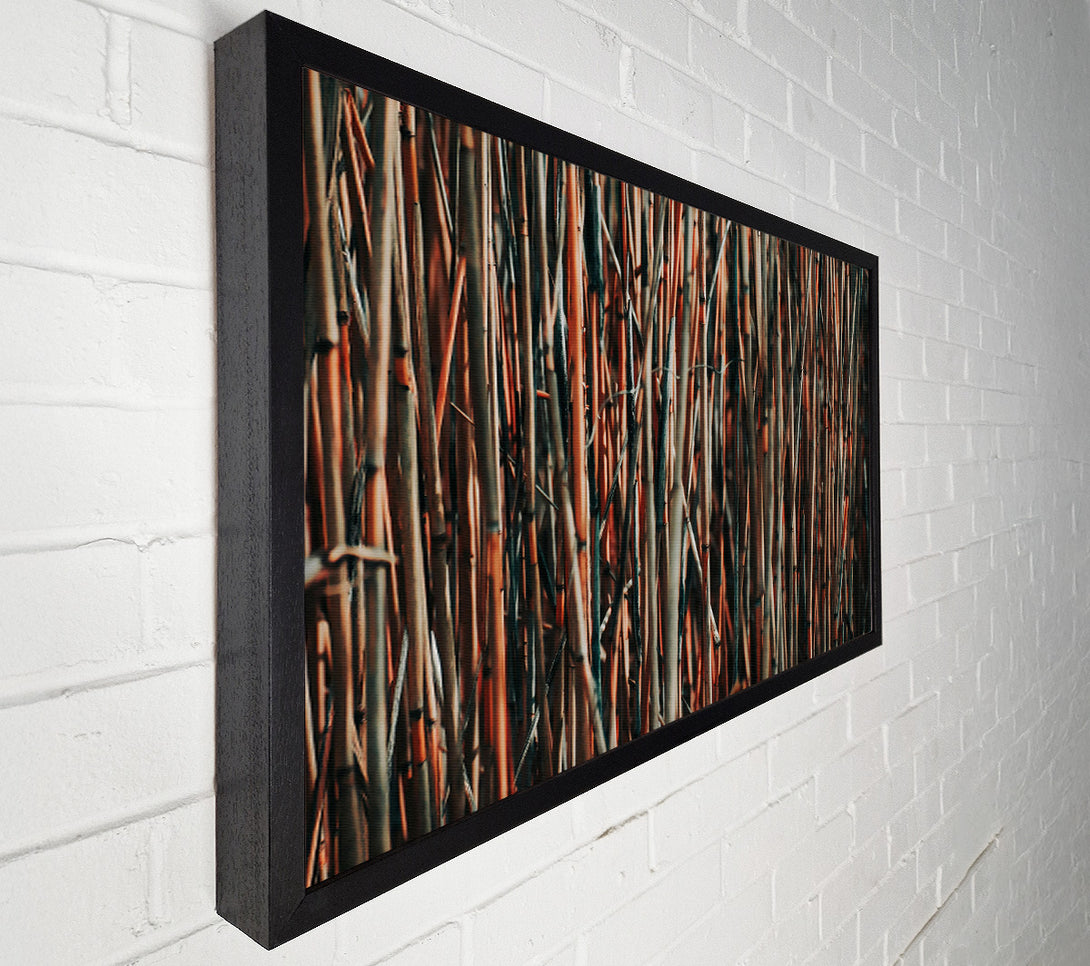  A Canvas Print of Crimson Branch Grove Canvas Print
