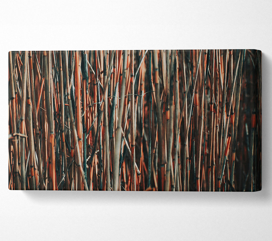  A Canvas Print of Crimson Branch Grove Canvas Print