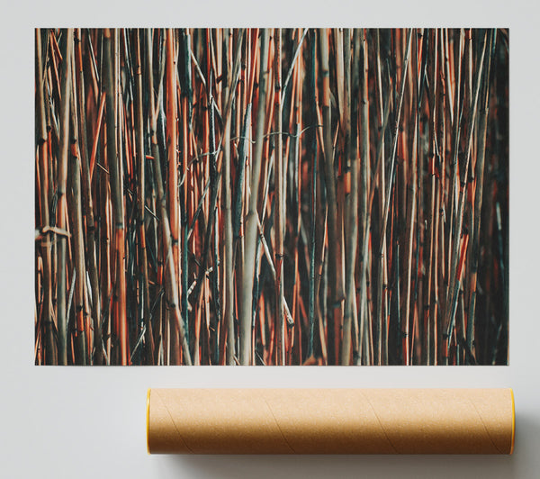 Crimson Branch Grove Print