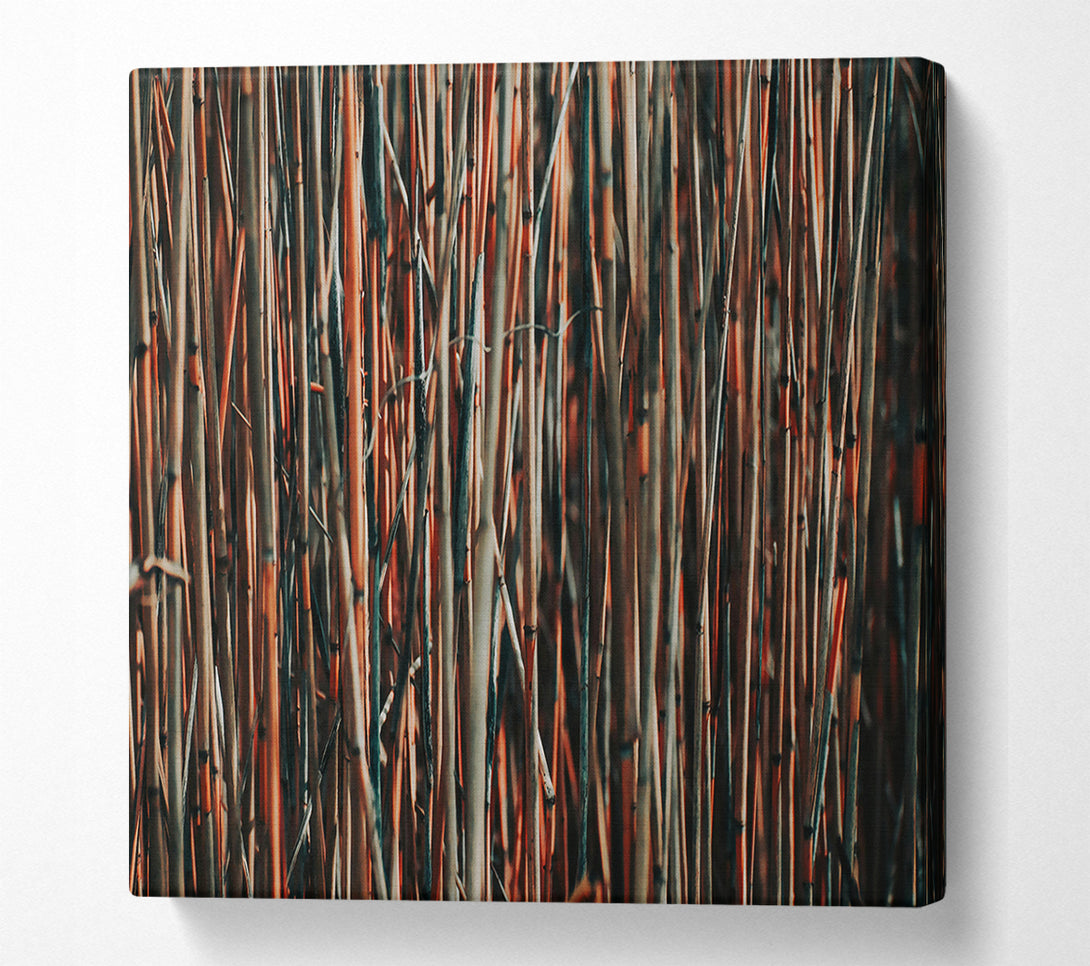  A Canvas Print of Crimson Branch Grove Canvas Print