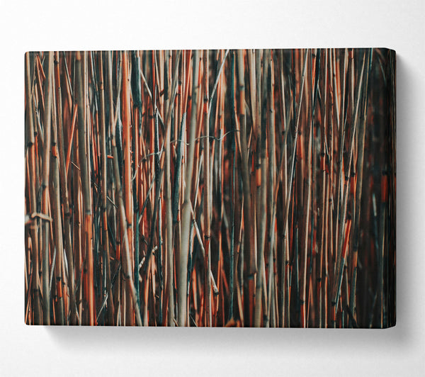  A Canvas Print of Crimson Branch Grove Canvas Print