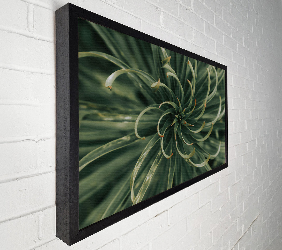  A Canvas Print of Emerald Green Spiral Canvas Print