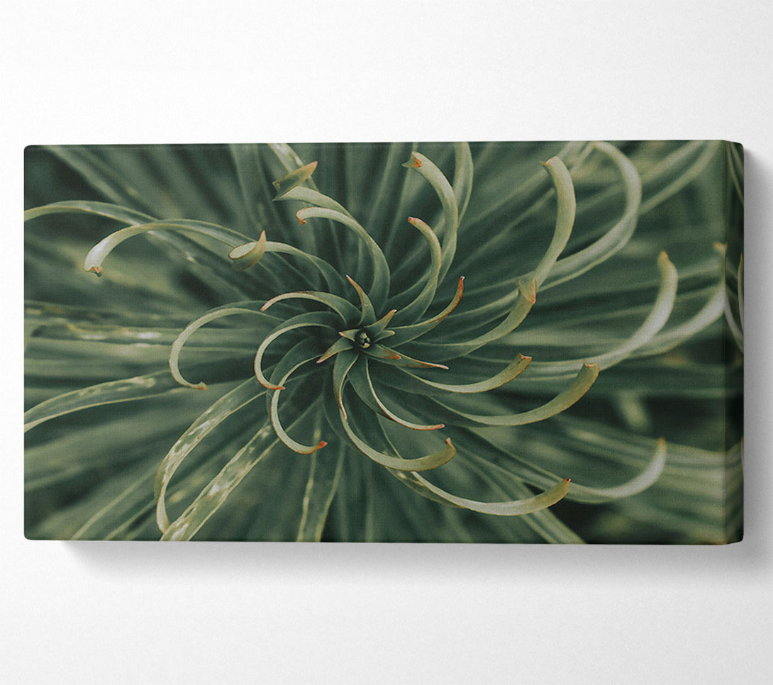  A Canvas Print of Emerald Green Spiral Canvas Print