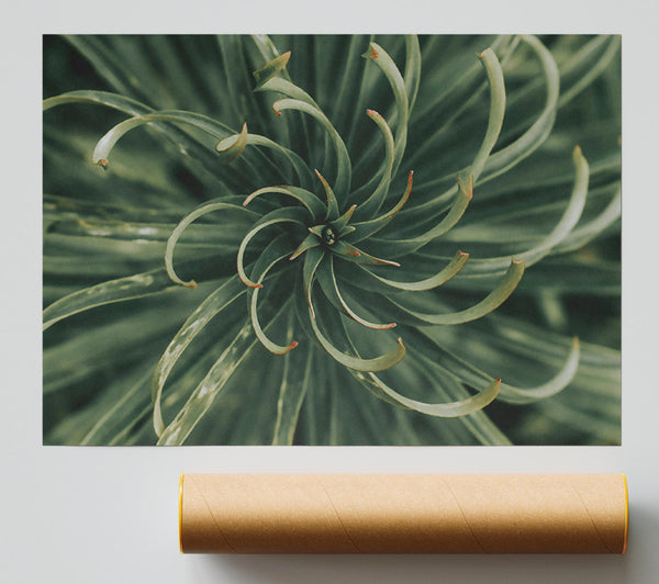 Emerald Green Spiral Poster