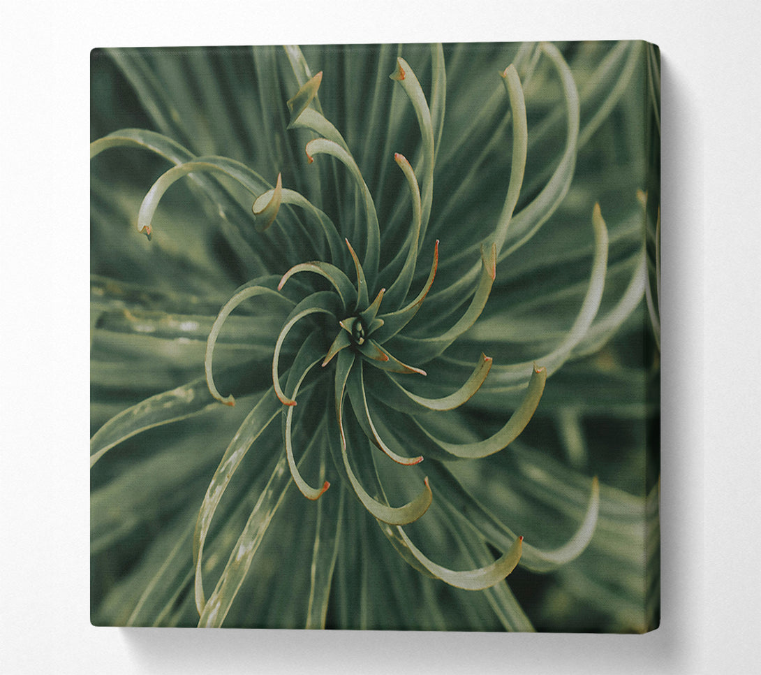  A Canvas Print of Emerald Green Spiral Canvas Print