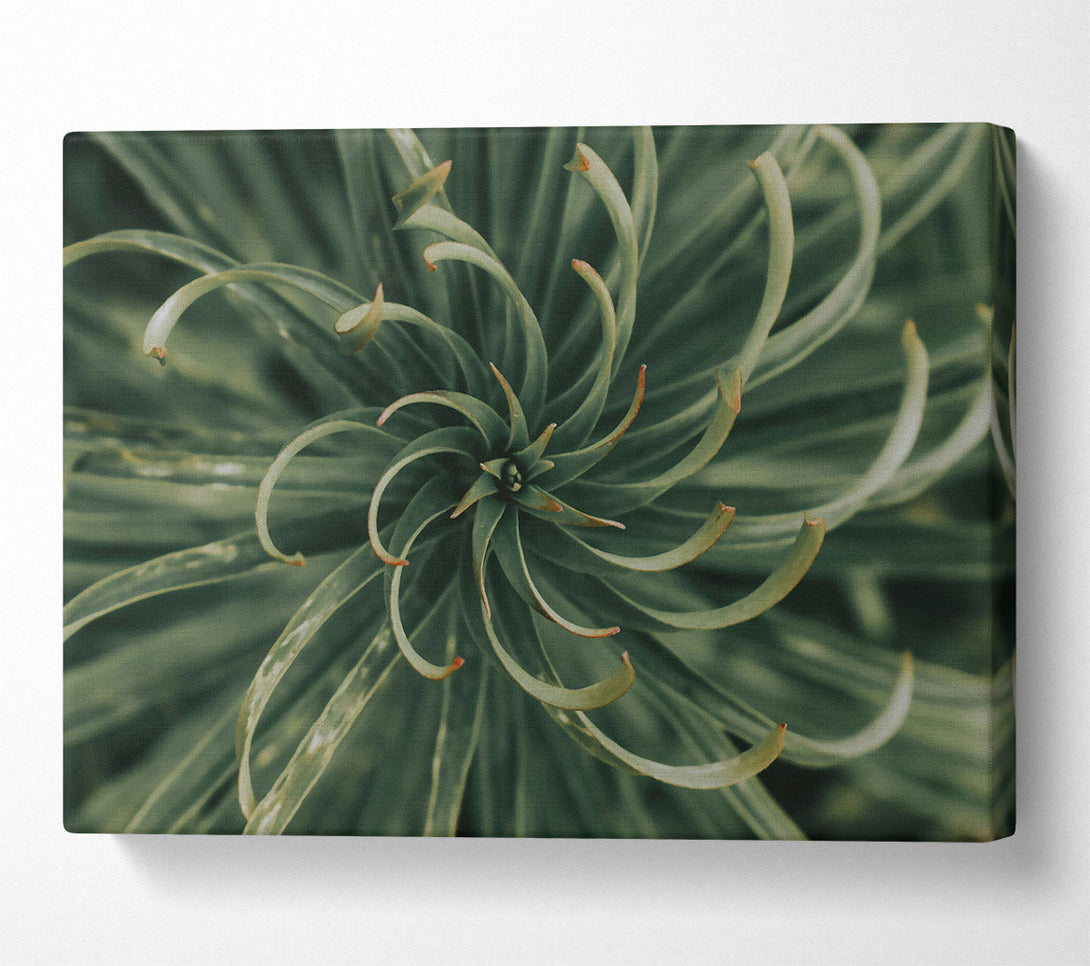  A Canvas Print of Emerald Green Spiral Canvas Print