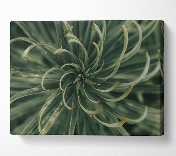  A Canvas Print of Emerald Green Spiral Canvas Print
