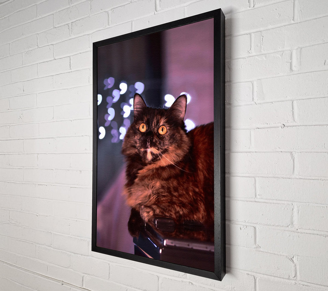  A Canvas Print of Golden Eyes In Brown Canvas Wall Art