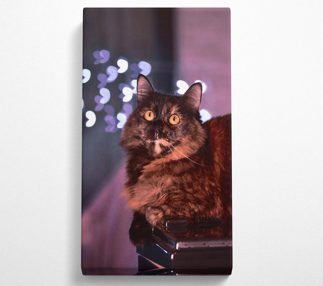  A Canvas Print of Golden Eyes In Brown Canvas Wall Art
