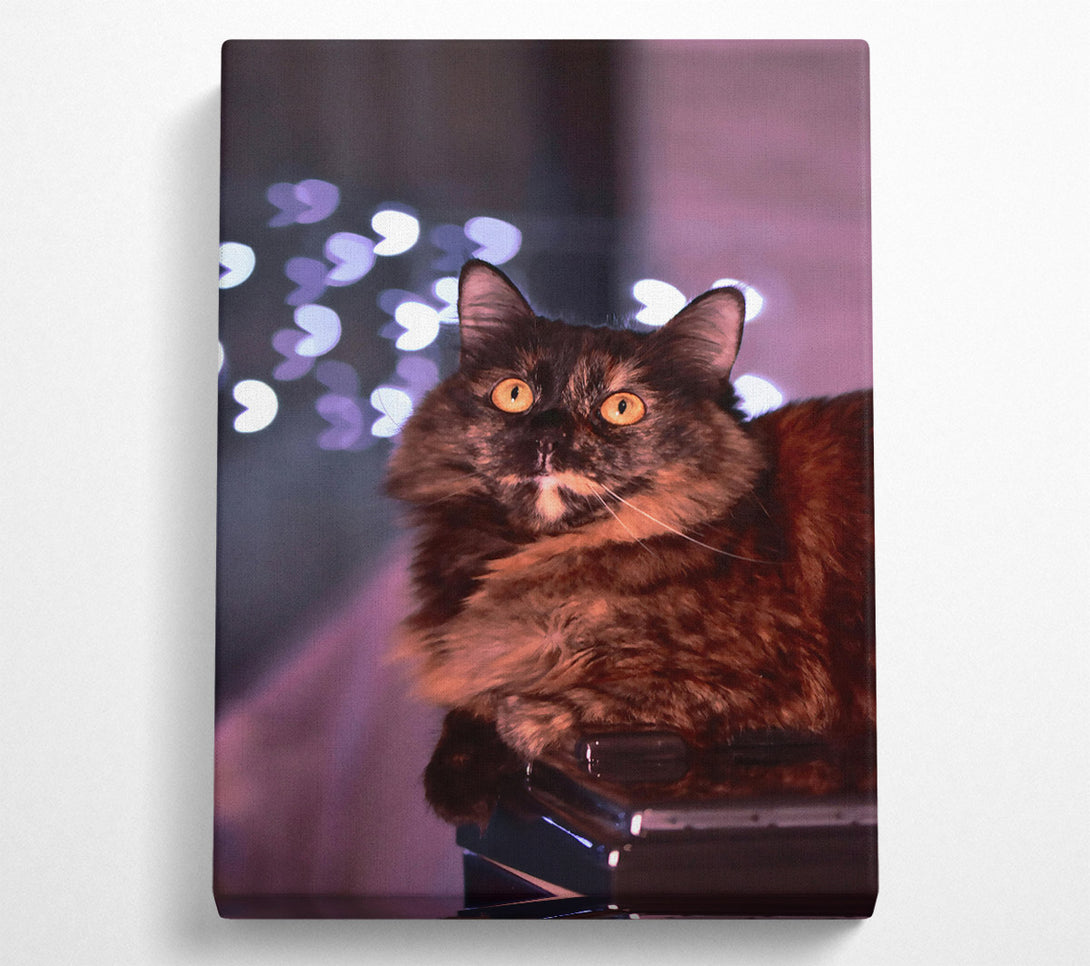  A Canvas Print of Golden Eyes In Brown Canvas Wall Art