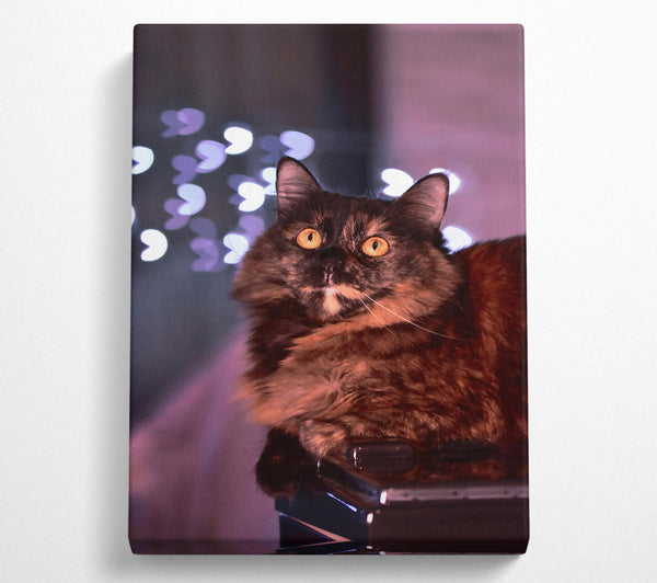  A Canvas Print of Golden Eyes In Brown Canvas Wall Art