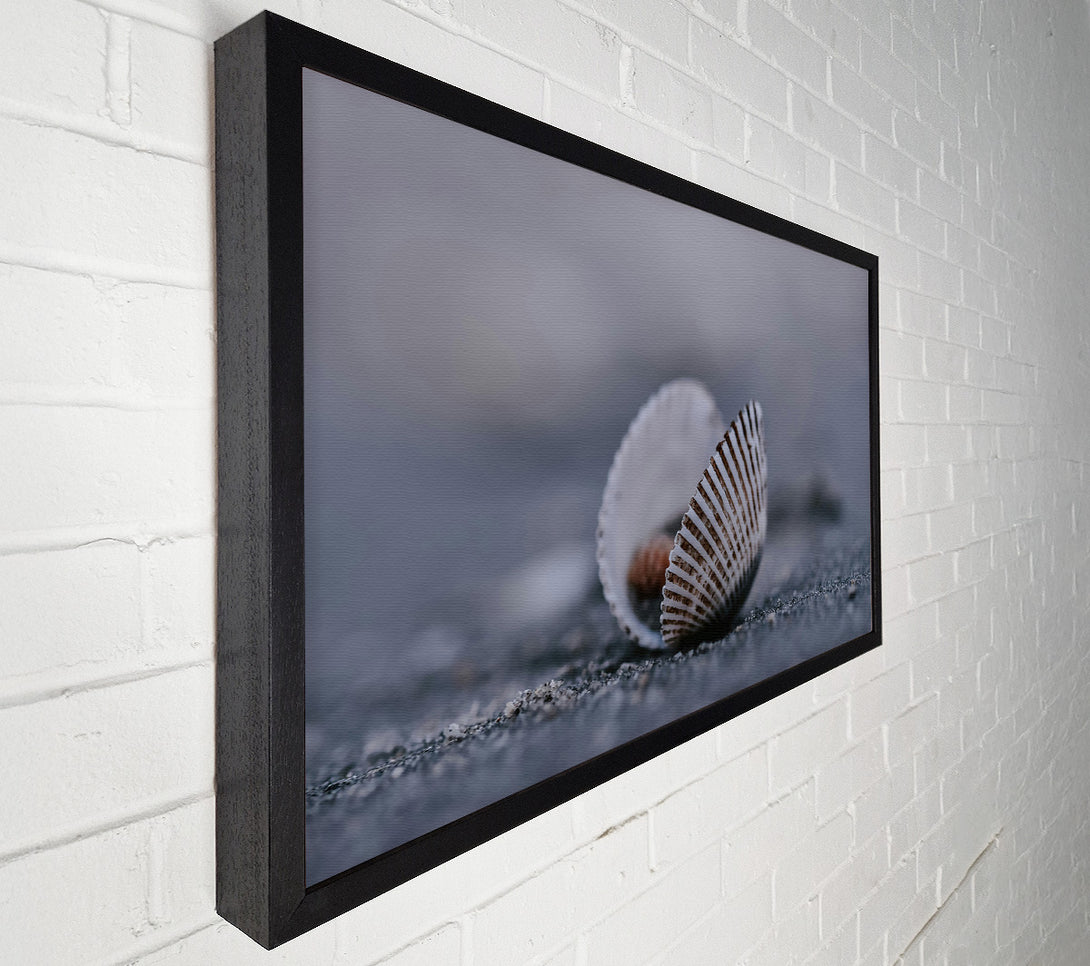  A Canvas Print of Grey Shell Embrace Canvas Art