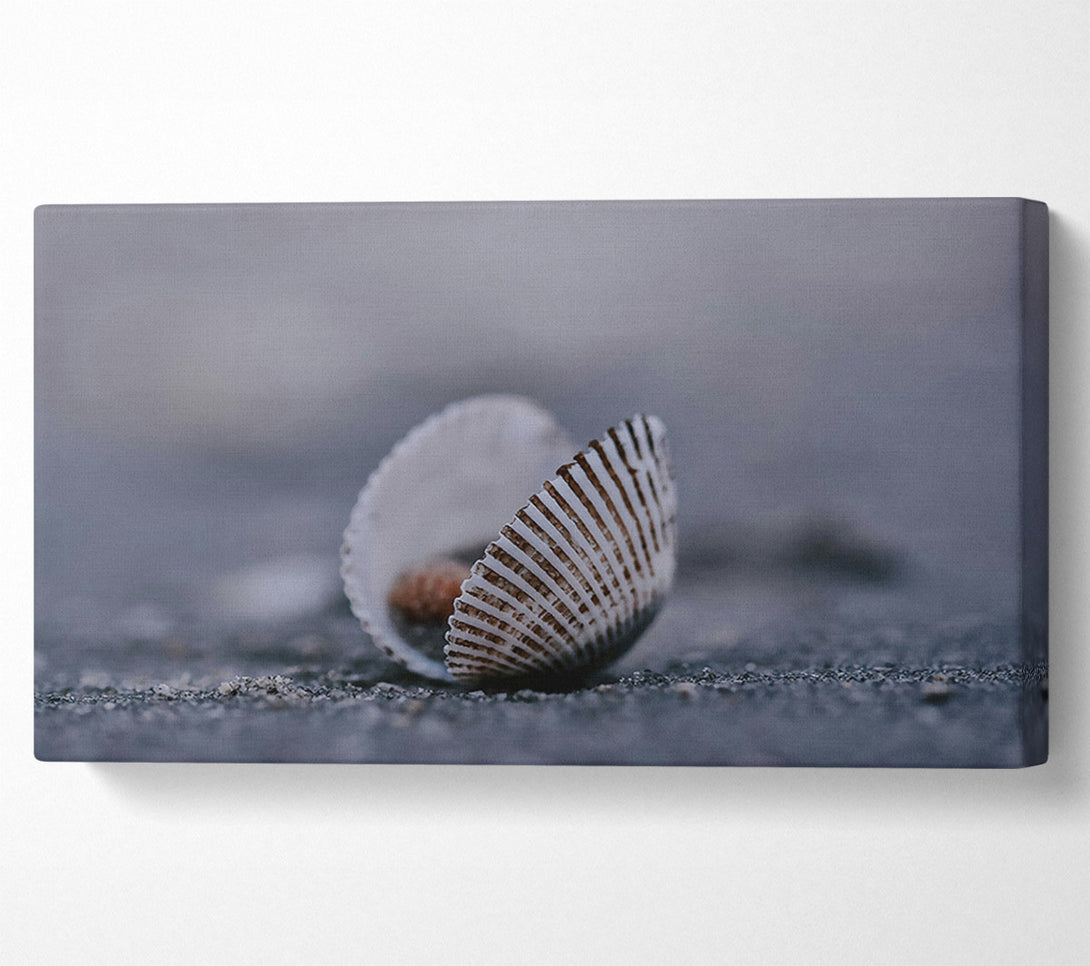  A Canvas Print of Grey Shell Embrace Canvas Art
