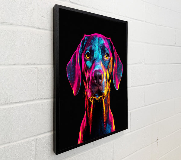 Neon Dog