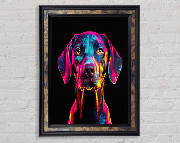 Neon Dog Framed Print