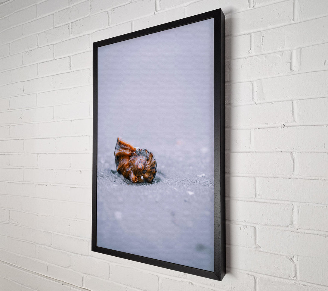  A Canvas Print of Brown Shell On Sand Canvas Print
