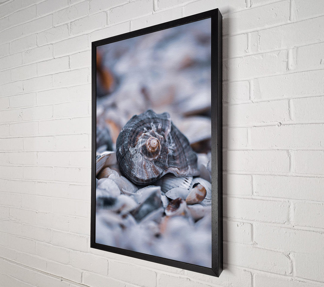  A Canvas Print of Gray Seashell Symphony Canvas Art