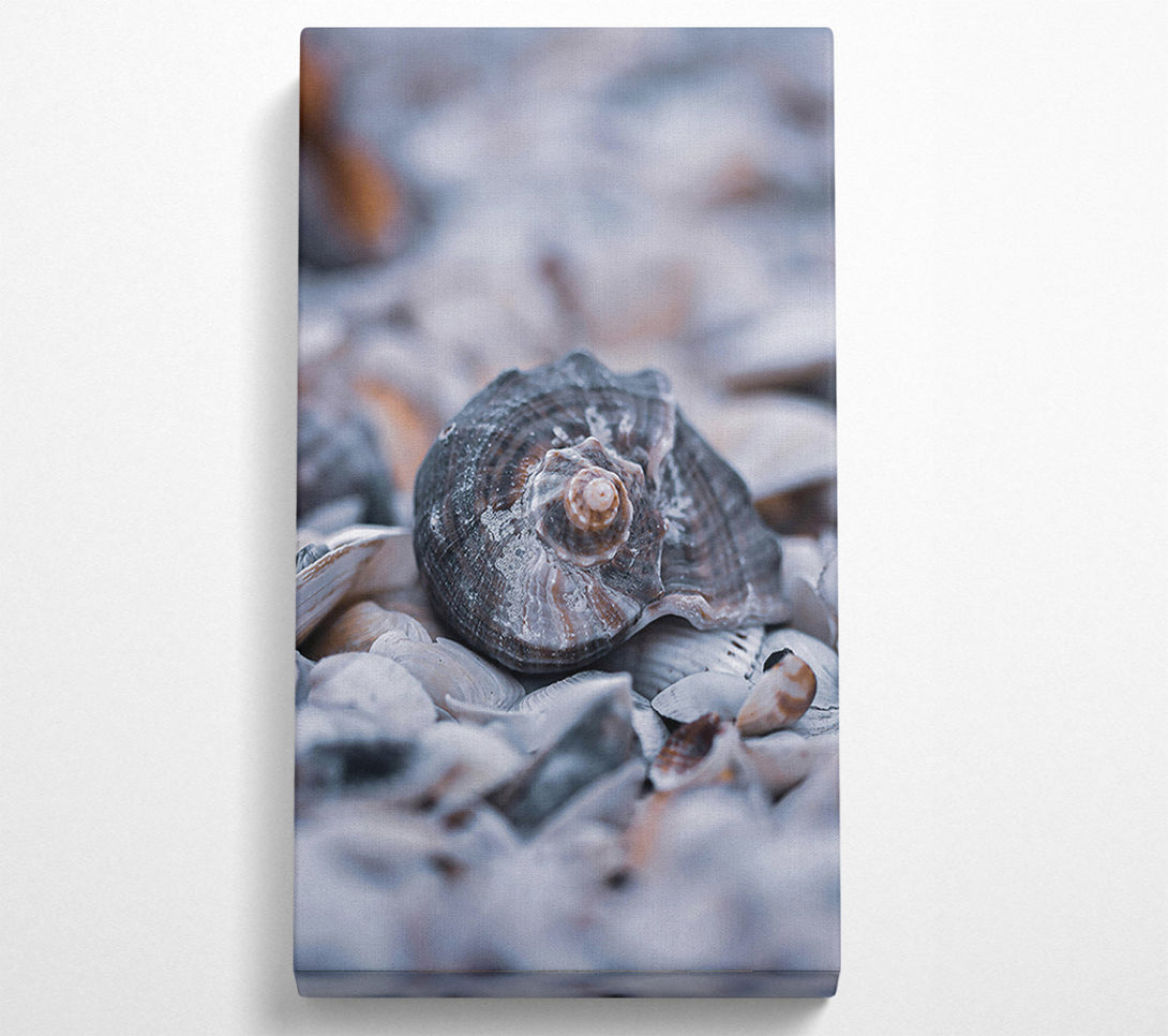  A Canvas Print of Gray Seashell Symphony Canvas Art