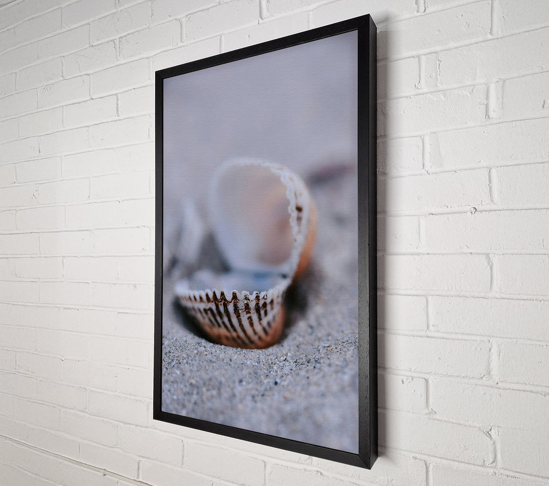  A Canvas Print of Sand-Colored Seashell Canvas Print