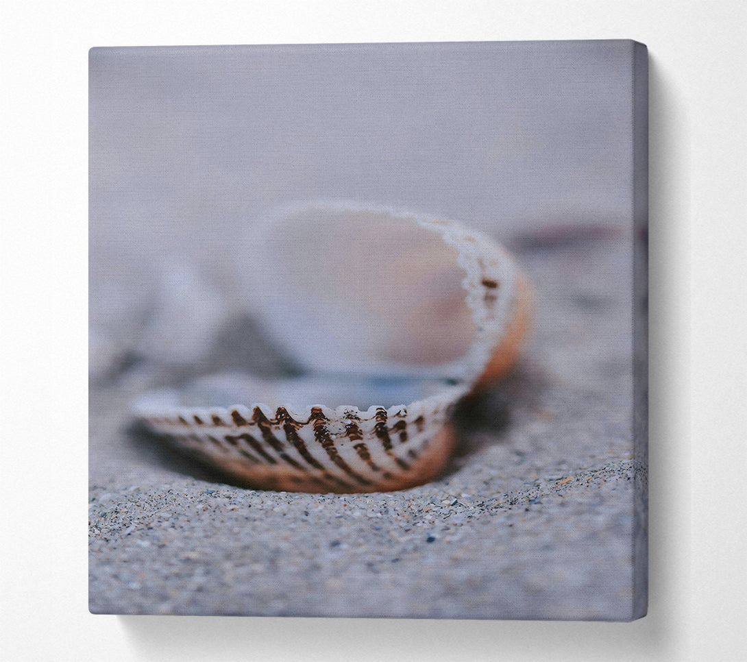 A Canvas Print of Sand-Colored Seashell Canvas Print