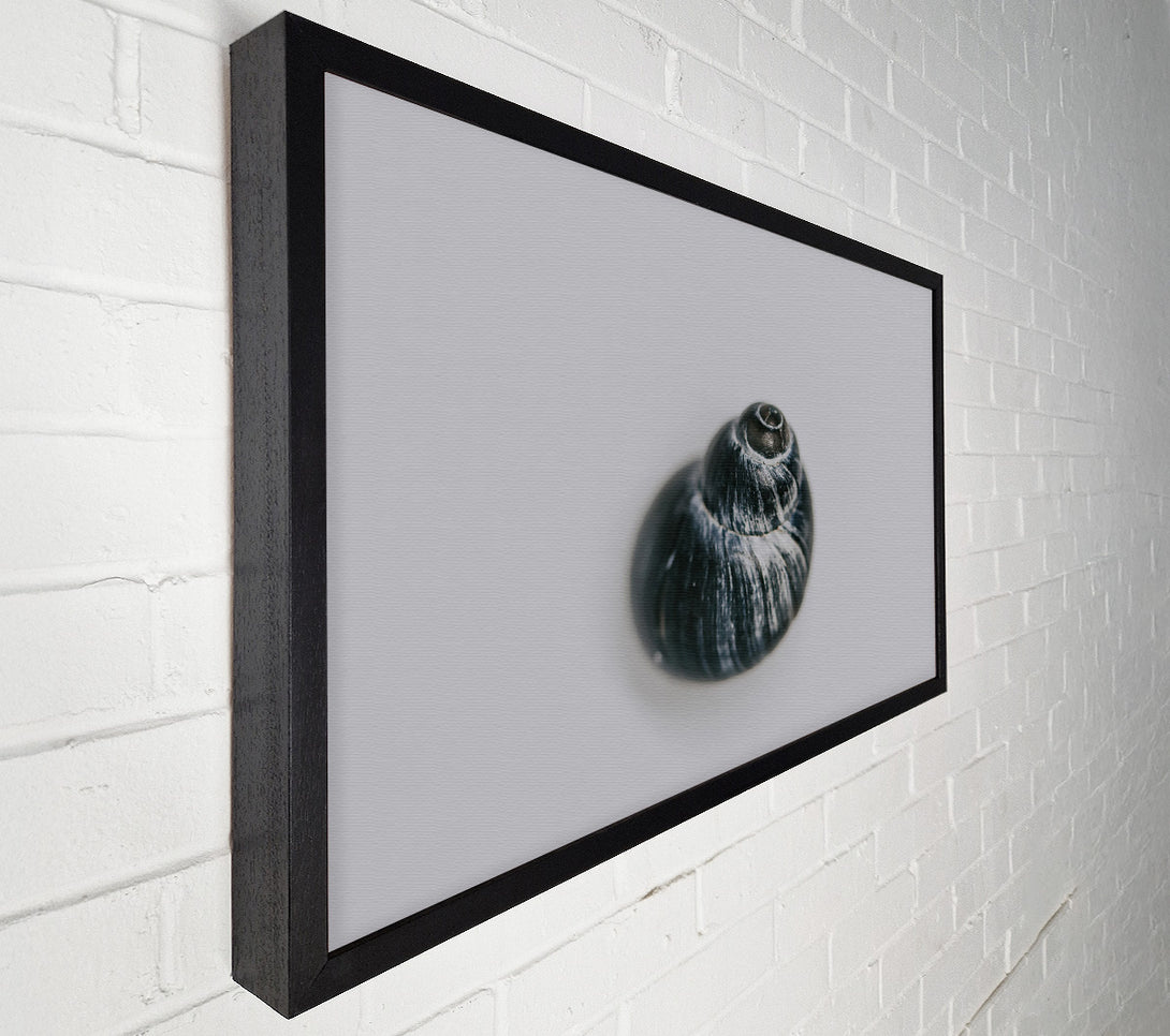  A Canvas Print of Black Swirled Shell Canvas Wall Art
