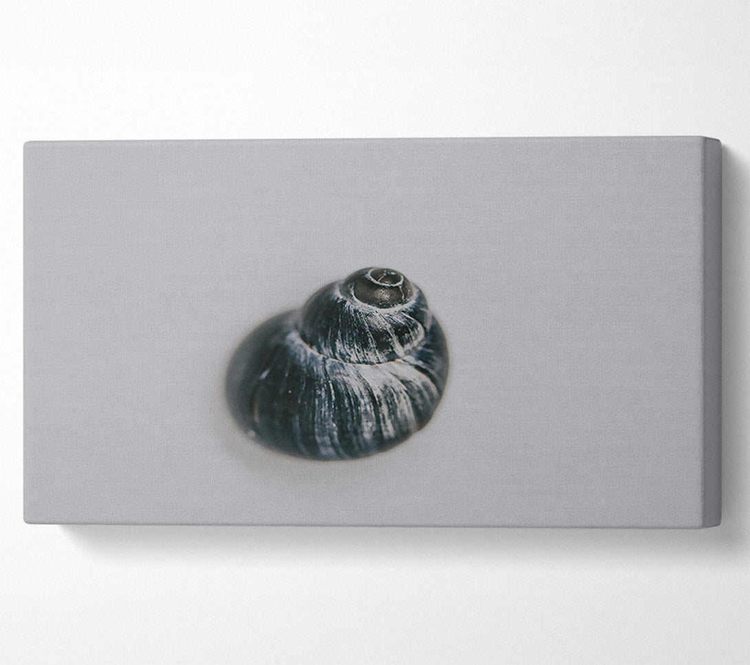  A Canvas Print of Black Swirled Shell Canvas Wall Art