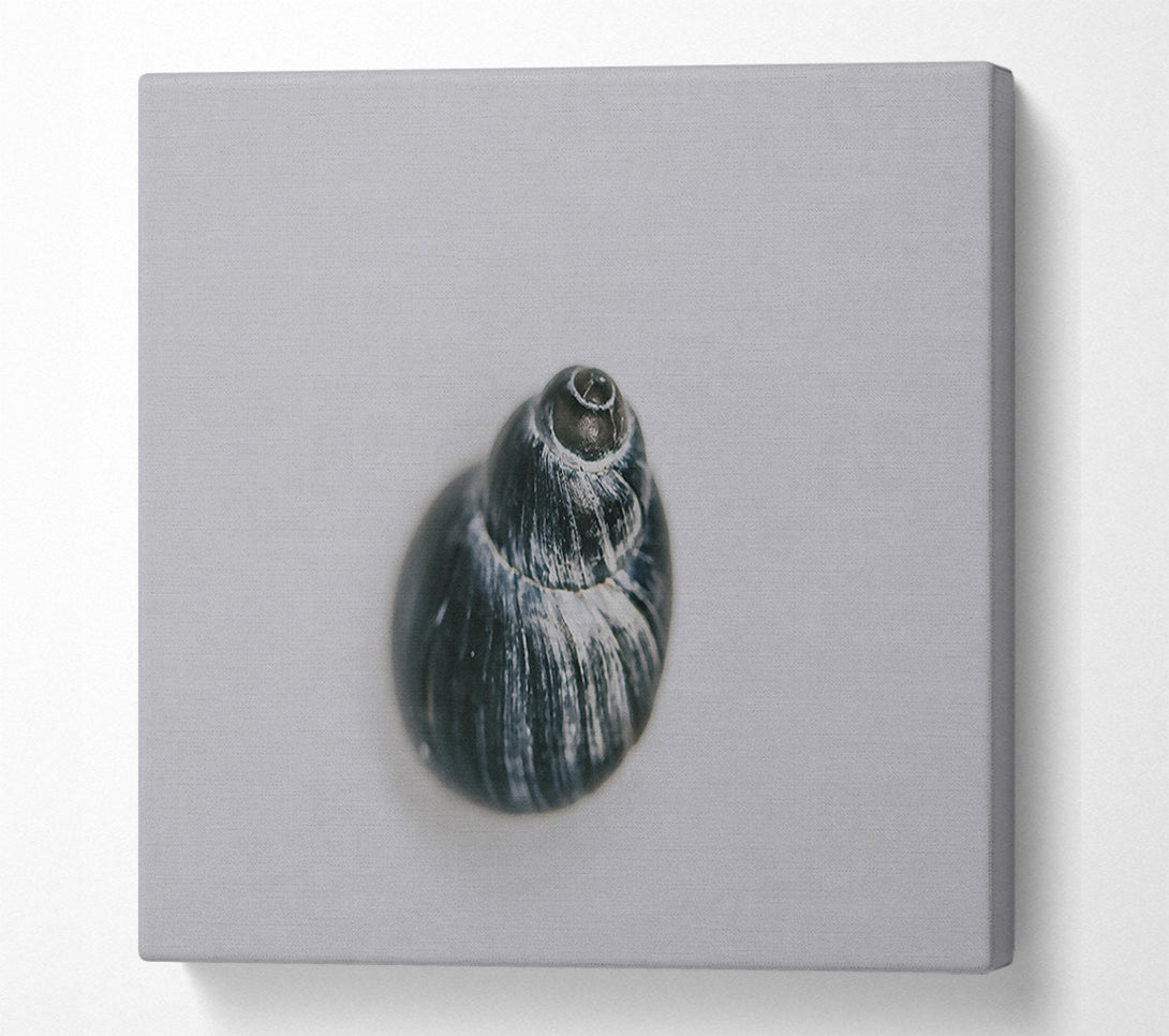  A Canvas Print of Black Swirled Shell Canvas Wall Art