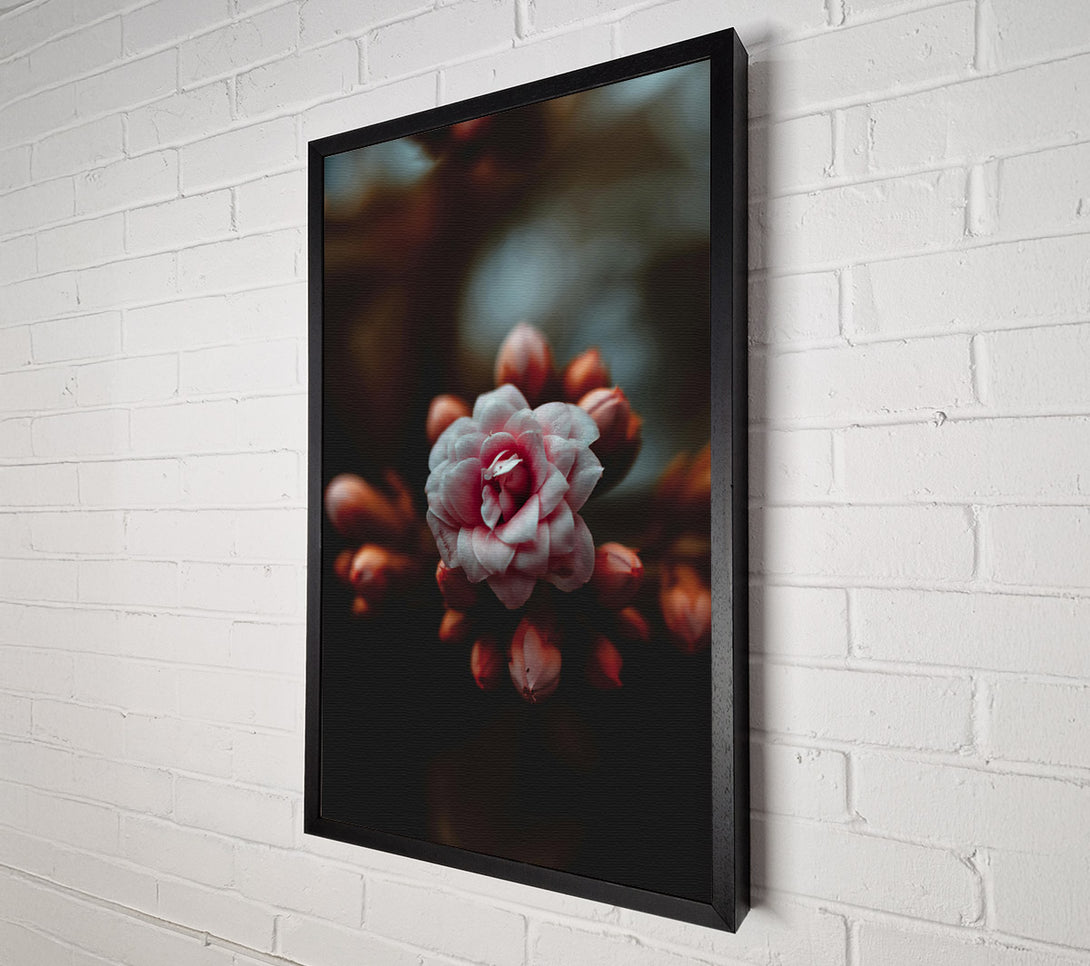  A Canvas Print of Dusty Pink Bloom Canvas Art