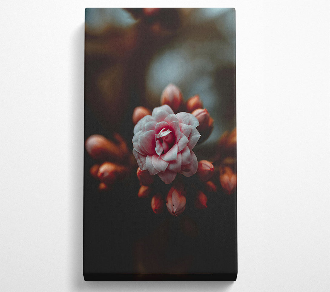  A Canvas Print of Dusty Pink Bloom Canvas Art