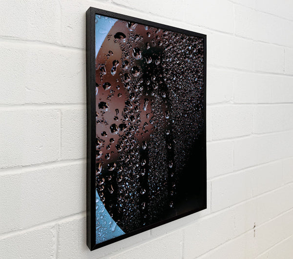 Black Drops Of Dew
