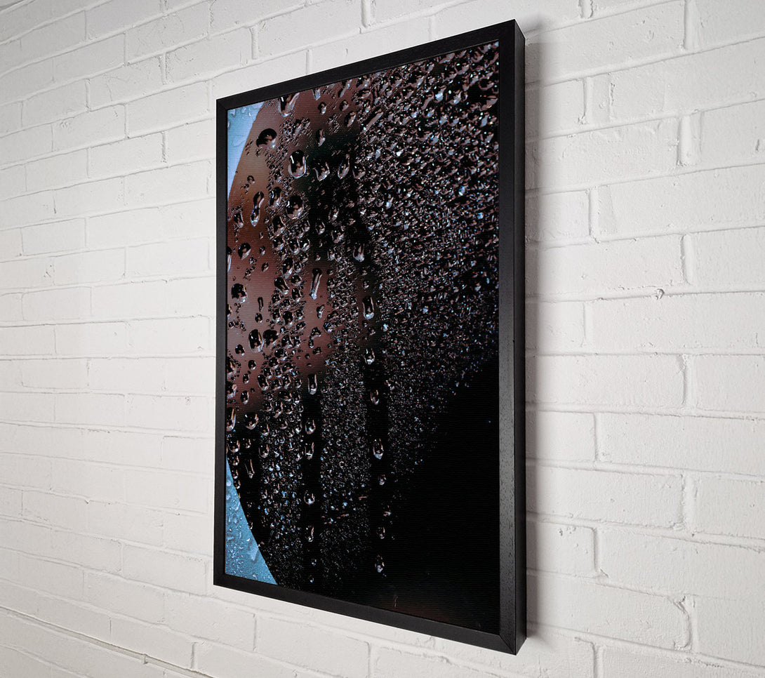  A Canvas Print of Black Drops Of Dew Canvas Print