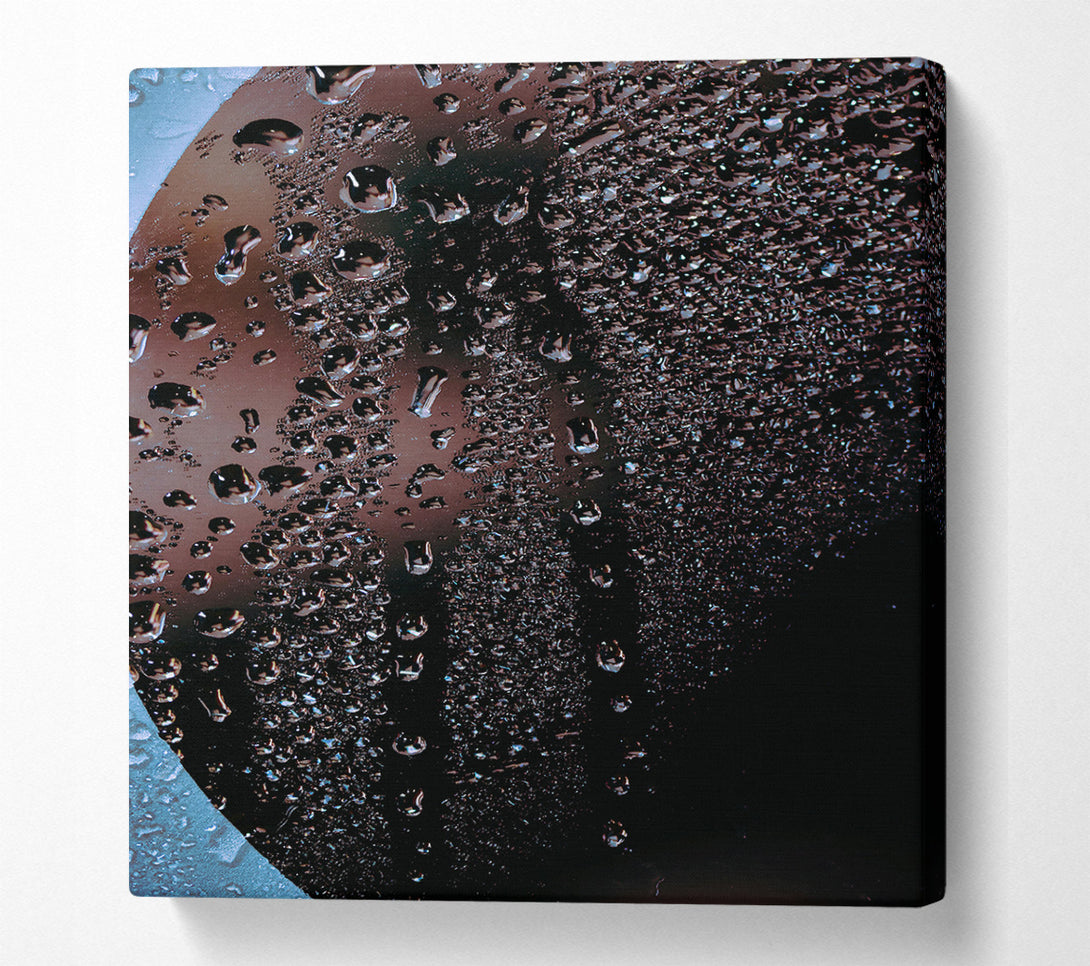  A Canvas Print of Black Drops Of Dew Canvas Print