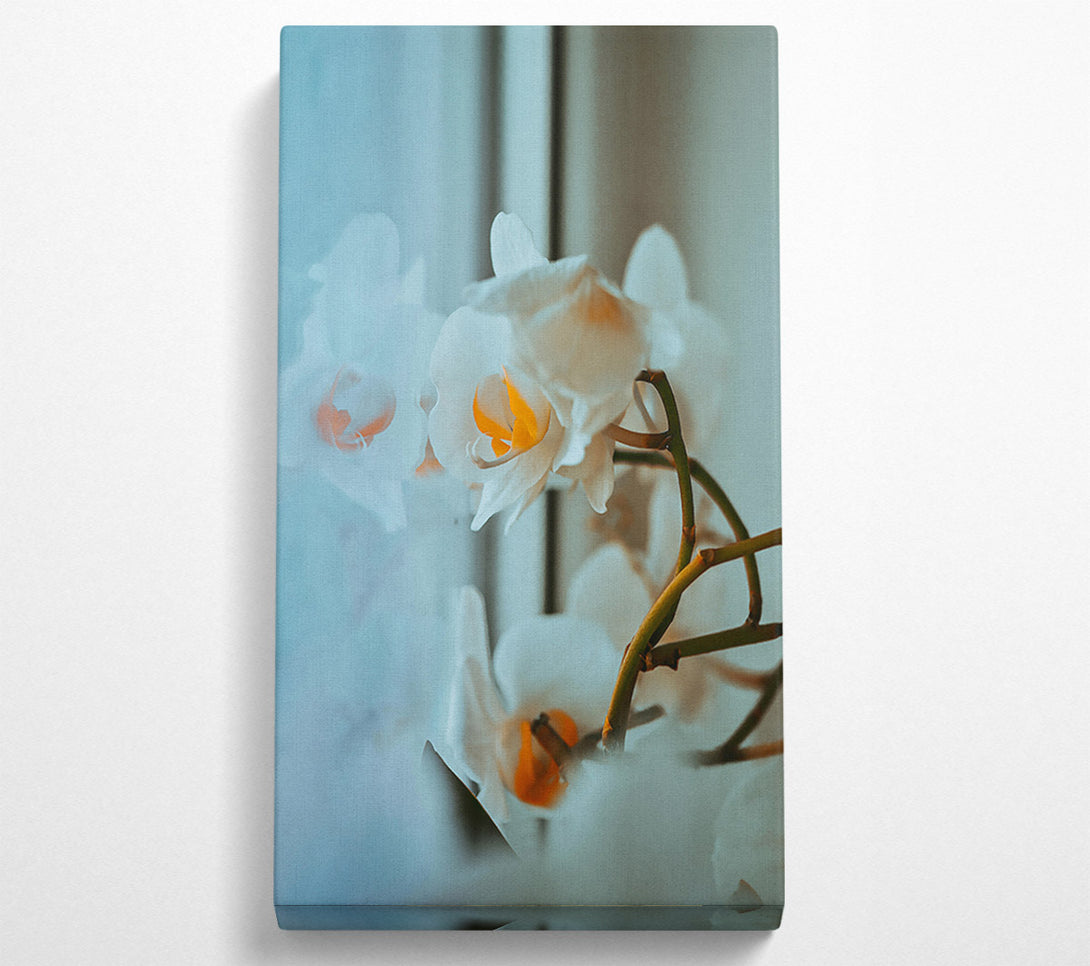 A Canvas Print of Pale Blue Orchids Canvas Wall Art
