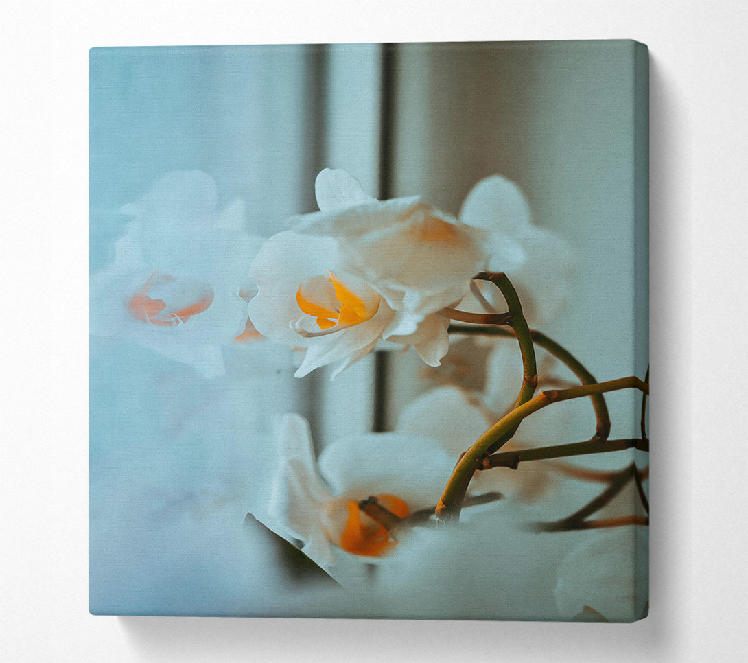  A Canvas Print of Pale Blue Orchids Canvas Wall Art