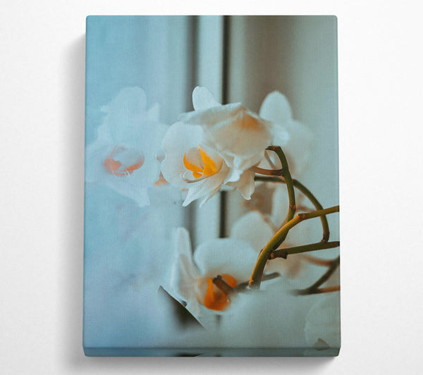  A Canvas Print of Pale Blue Orchids Canvas Wall Art