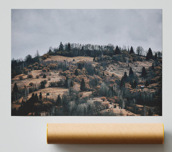 Golden Forest Hills. Giclee Print