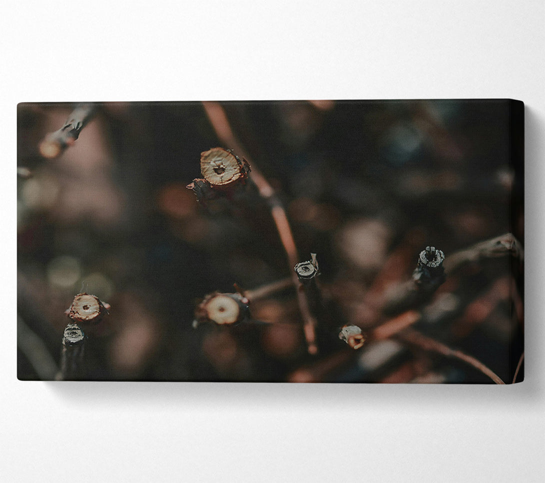  A Canvas Print of Brown Twig Pattern Canvas Art