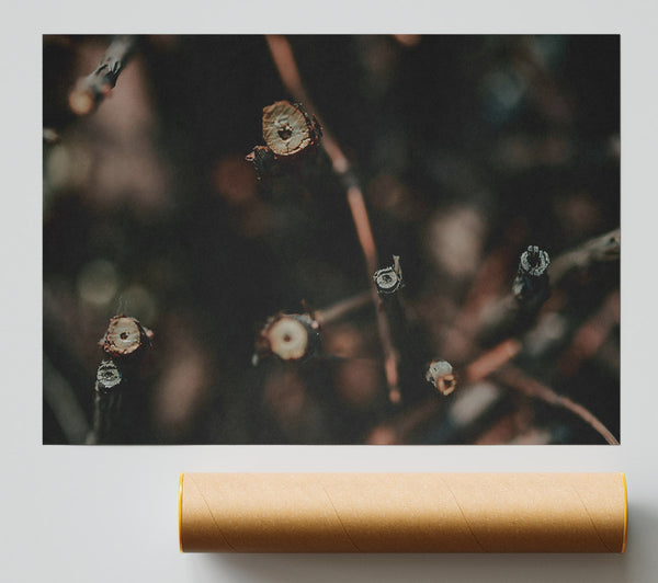 Brown Twig Pattern Print