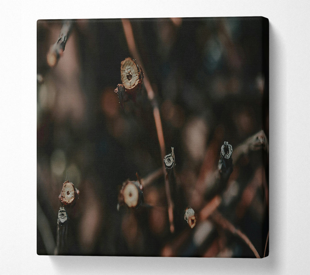  A Canvas Print of Brown Twig Pattern Canvas Art