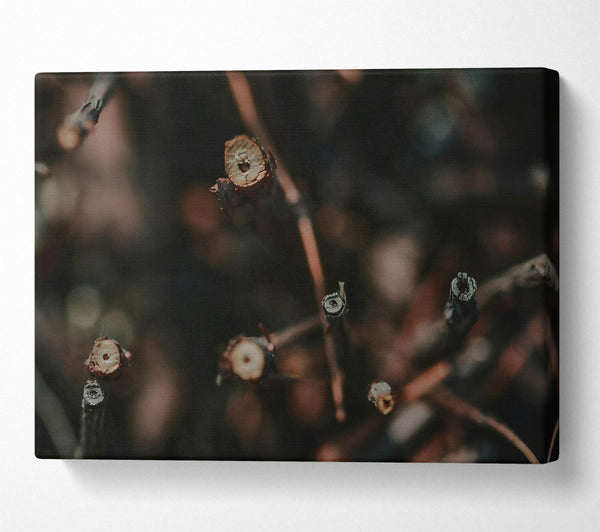  A Canvas Print of Brown Twig Pattern Canvas Art