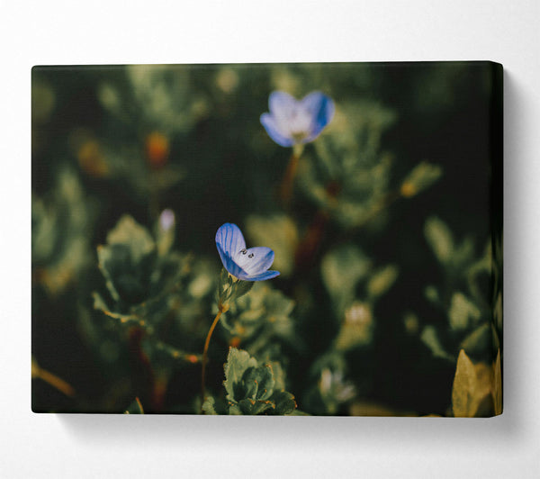 A Canvas Print of Blue Bloom In Green Canvas Art