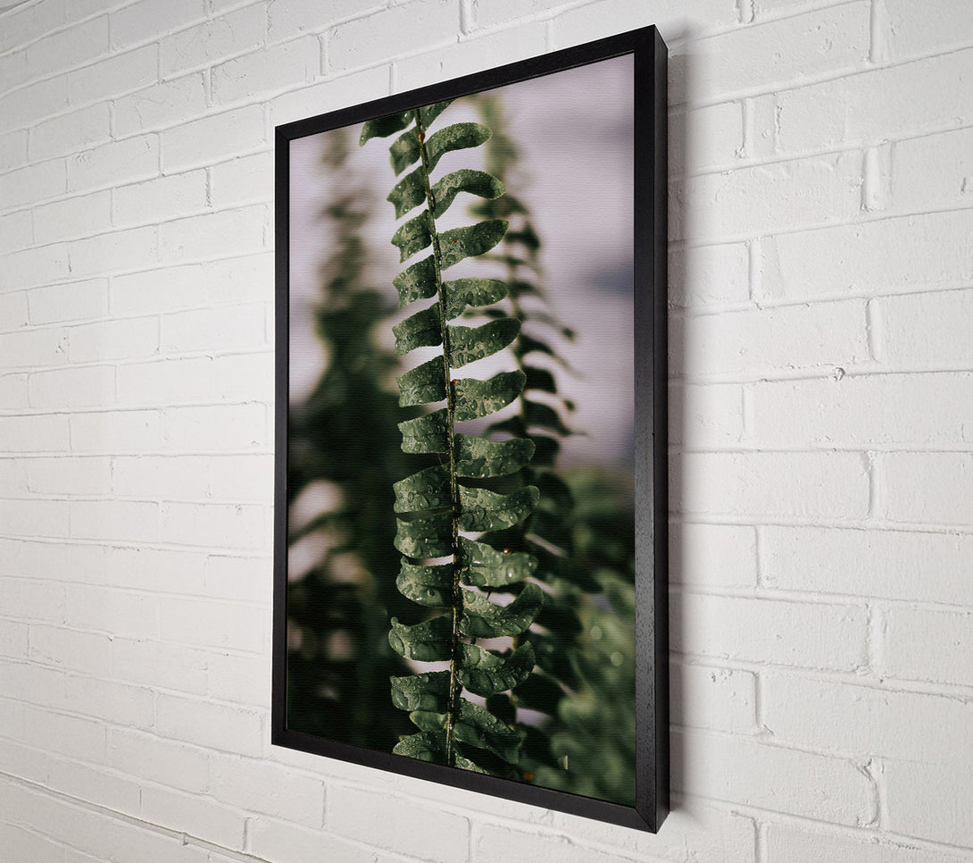  A Canvas Print of Emerald Fern Dewdrops Canvas Wall Art