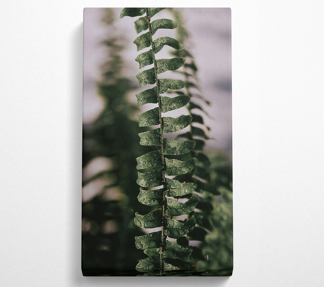  A Canvas Print of Emerald Fern Dewdrops Canvas Wall Art