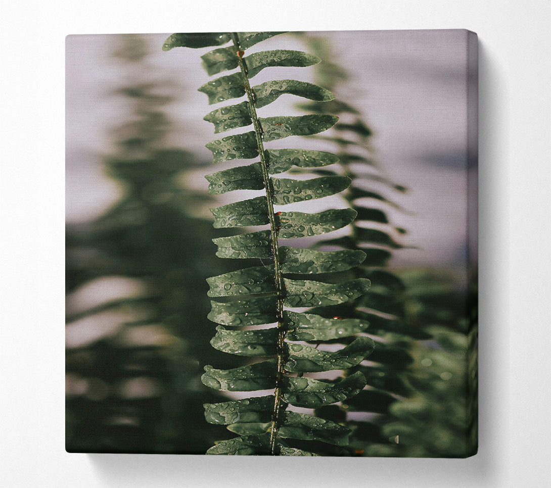 A Canvas Print of Emerald Fern Dewdrops Canvas Wall Art