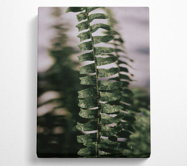  A Canvas Print of Emerald Fern Dewdrops Canvas Wall Art