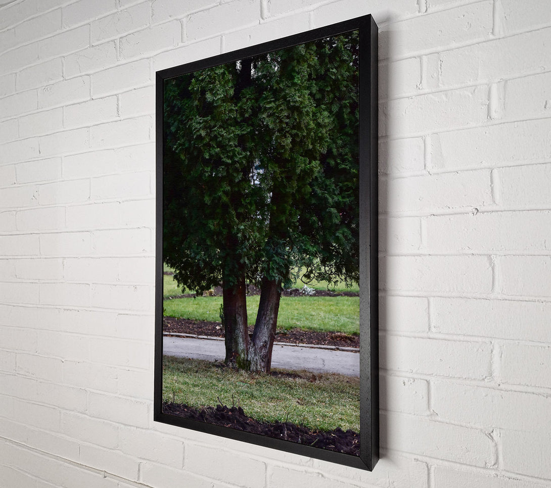  A Canvas Print of Green V Tree Trunk Canvas Art