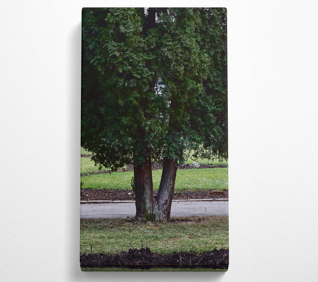  A Canvas Print of Green V Tree Trunk Canvas Art