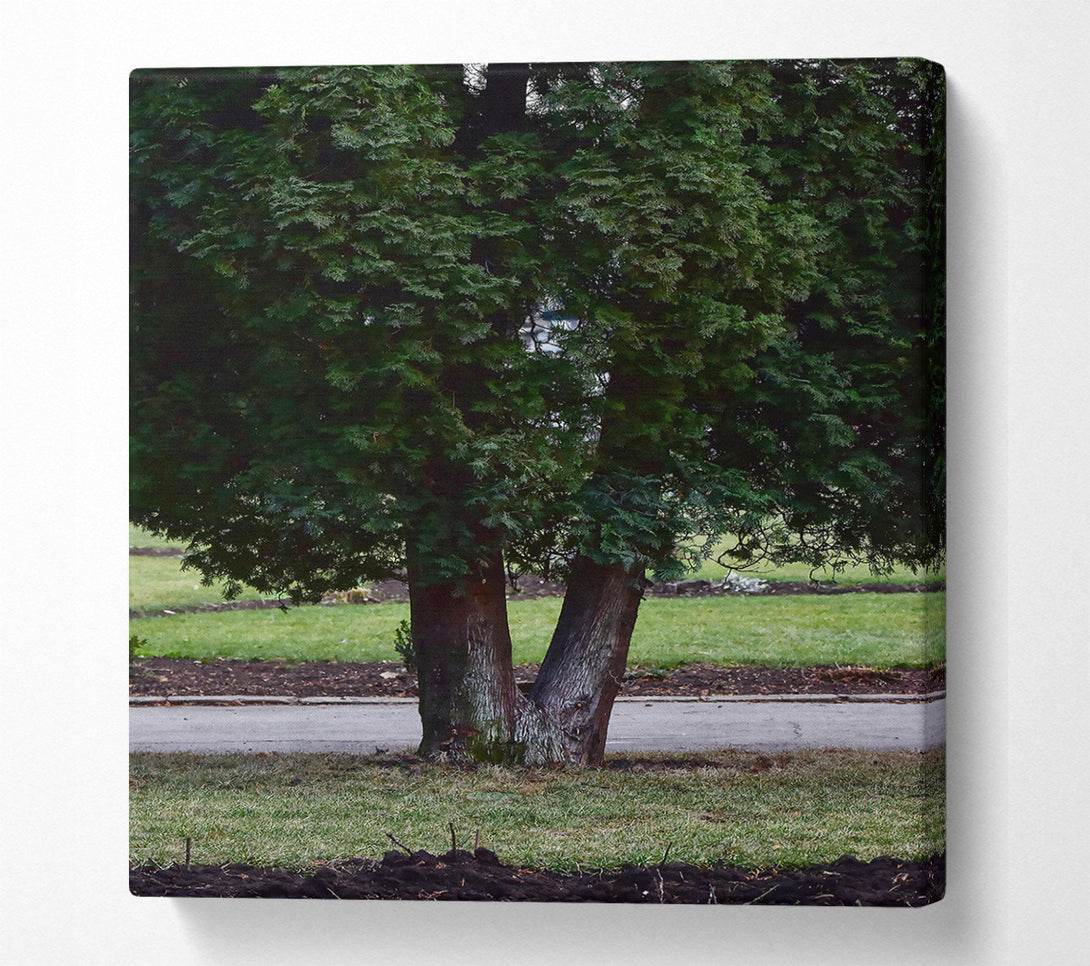  A Canvas Print of Green V Tree Trunk Canvas Art